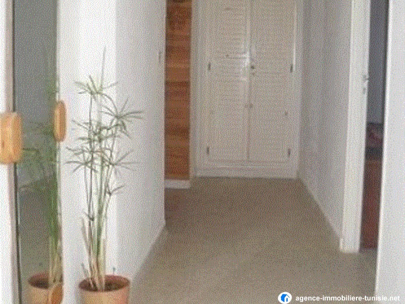images_immo/tunis_immobilier170306Capture 8.gif